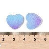 Imitation Candy Food Style Resin Cabochons RESI-R461-01J-3