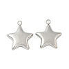 304 Stainless Steel Pendants STAS-S186-01B-P-1