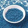 MIYUKI Round Rocailles Beads SEED-G008-RR4485-2