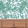 MIYUKI Delica Beads X-SEED-J020-DB1182-2