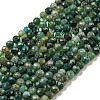 Natural Moss Agate Beads Strands G-K020-3mm-32-2