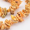 Natural Shell Bead Strands BSHE-P010-06-4