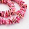 Natural Shell Bead Strands BSHE-P010-10-3
