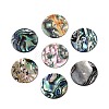 Natural Paua Shell Beads SSHEL-N040-20B-1