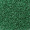 8/0 Glass Seed Beads X1-SEED-A017-3mm-1114-2