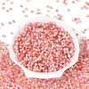 Drawbench Style Glass Seed Beads SEED-Q039-01E-2