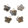 Natural Labradorite Pendants KK-D289-61G-05-1