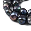 Natural Cultured Freshwater Pearl Beads Strands PEAR-P064-19L-01A-4