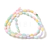 Rainbow Color Dyed Natural Freshwater Shell Beads Strands X1-SHEL-G018-02H-2