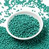 MIYUKI Round Rocailles Beads X-SEED-G008-RR0412-2