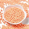 Baking Paint Glass Seed Beads SEED-B001-02A-16-2