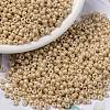 MIYUKI Round Rocailles Beads X-SEED-G008-RR0593-1