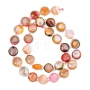 Natural Fire Crackle Agate Beads Strands G-C116-A192-01-3