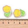 Luminous Resin Enamel Beads RE-CBAC4C7-12B-5