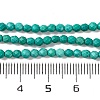 Natural Howlite Beads Strands G-C025-02B-08-5