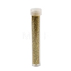 Plastic Glitter Powder Fillers LS-AJEW-H144-01A-2