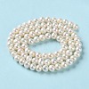 Natural Pearl Beads Strands PEAR-E018-99-3