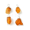 Natural Amber Pendants PALLOY-JF01827-01-2