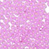 8/0 Glass Seed Beads SEED-Z001-C-E11-3