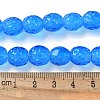 Handmade Lampwork Beads Strands LAMP-Z011-01H-4