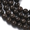 Natural Wood Lace Stone Wooden Jasper Beads Strands G-K365-F03-10mm-4
