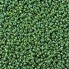 MIYUKI Round Rocailles Beads X-SEED-G007-RR0480-3