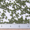 MIYUKI Delica Beads Small X-SEED-J020-DBS0391-4