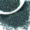 MIYUKI Delica Beads SEED-MY11-DB0276-1