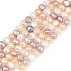 Natural Cultured Freshwater Pearl Beads Strands PEAR-P064-19G-02M-2