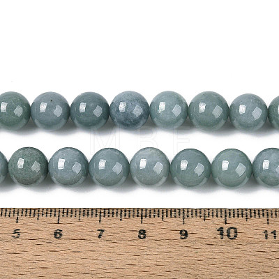 Natural Jadeite Beads Strands G-N353-07D-01-1