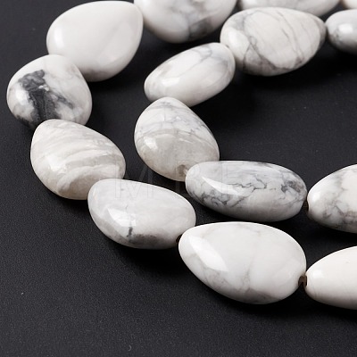 Natural Howlite Beads Strands G-L242-13-1