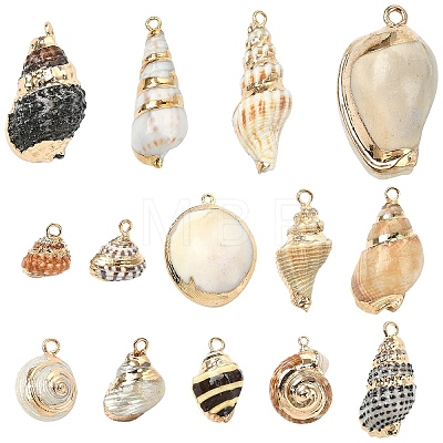 14Pcs 14 Colors Electroplated Natural Mixed Shell Pendants BSHE-YW0001-21-1