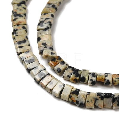 Natural Dalmatian Jasper Beads Strands G-Z045-A07-01-1