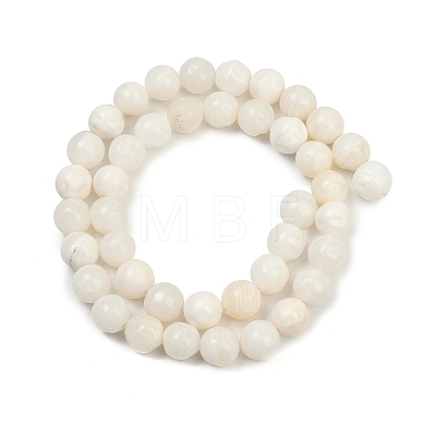 Natural White Shell Beads Strands BSHE-U001-01E-1