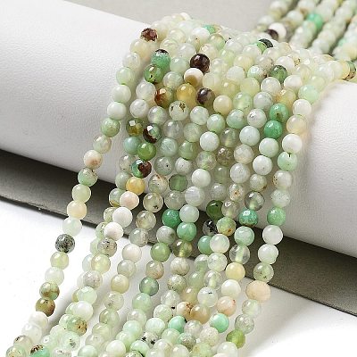 Natural Serpentine Beads Strands G-G161-D24-01-1