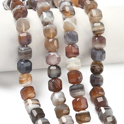 Natural Botswana Agate Beads Strands G-C267-A07-1