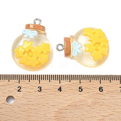 Transparent Resin Pendants RESI-K203-19-1