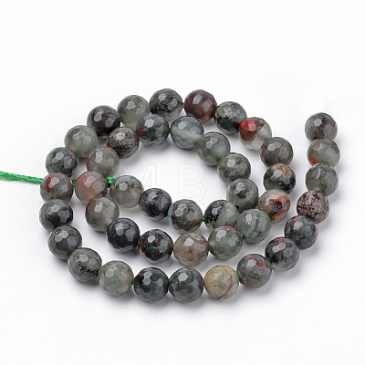 Natural African Bloodstone Beads Strands G-Q462-95-4mm-1