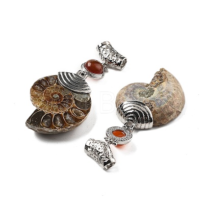 Natural Carnelian Fossil Snail Pendants G-F062-15-1