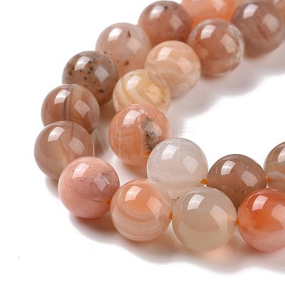 Natural Botswana Agate Beads Strands G-G925-01B-1