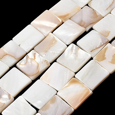 Natural Freshwater Shell Beads Strands SHEL-A006-10A-1
