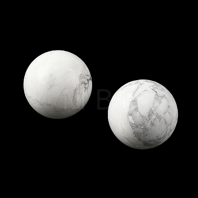 Natural Howlite Sphere Beads GG-D003-A25-1