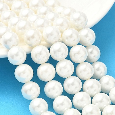 Shell Pearl Beads Strands BSHE-K015-10mm-03-1