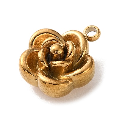 304 Stainless Steel Charms STAS-Z206-01G-1