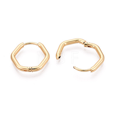304 Stainless Steel Hoop Earrings STAS-T074-22G-1