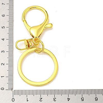 (Defective Closeout Sale: Scratched) Rack Plating Iron Alloy Lobster Claw Clasp Keychain FIND-XCP0002-76G-1