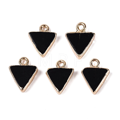Natural Agate(Dyed & Heated) Pendants G-Q606-103G-01-1