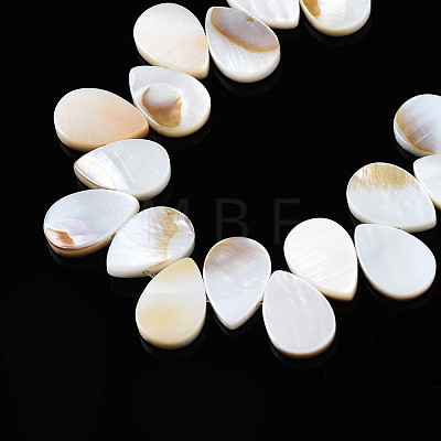 Natural Freshwater Shell Beads Strands SHEL-Q024-008-1