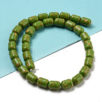 Dyed Synthetic Turquoise Beads Strands G-B070-D03-01-1