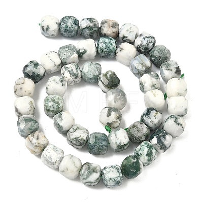 Natural Tree Agate Beads Strands G-C267-A18-1